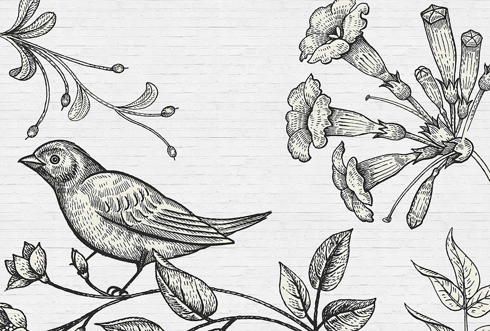 Walls By Patel - Birdy digital print AS Creation Bird Baby   110426