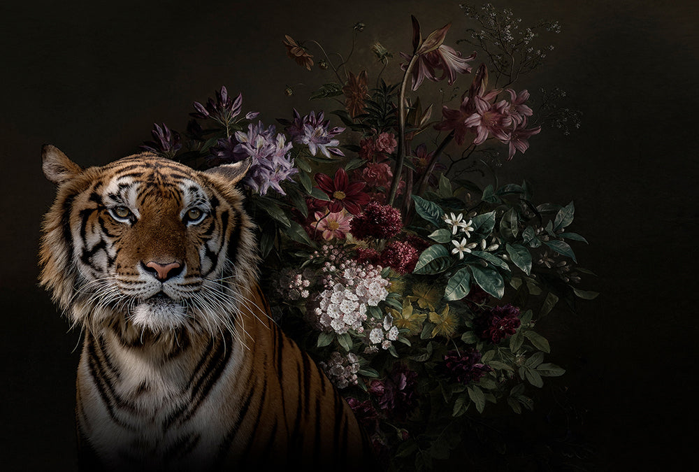 Walls By Patel - Wildlife digital print AS Creation Tiger   110616