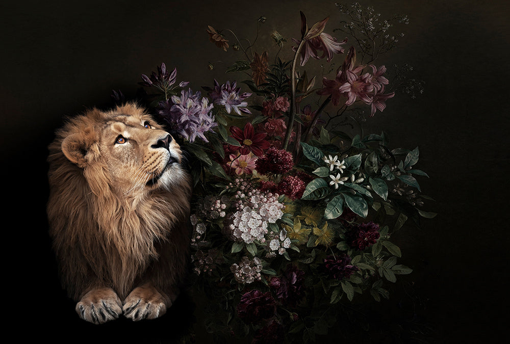 Walls By Patel - Wildlife digital print AS Creation Lion   110621