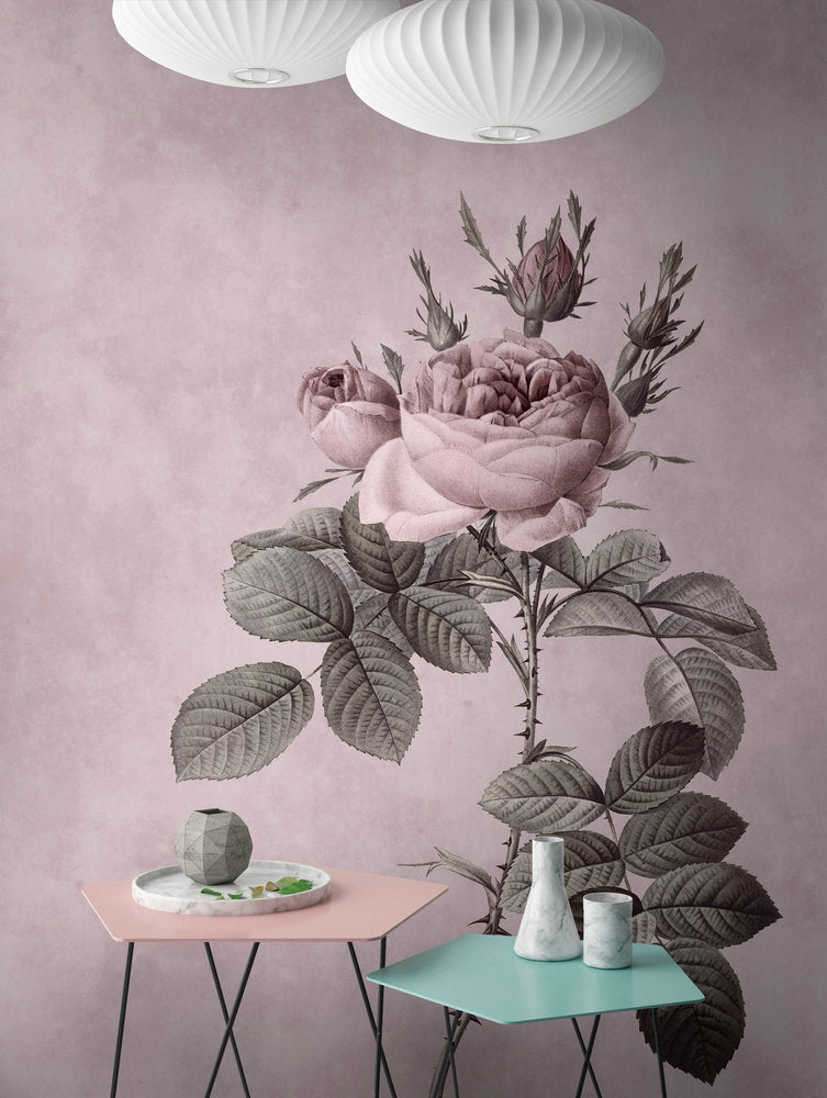 Walls By Patel - Rose digital print AS Creation    