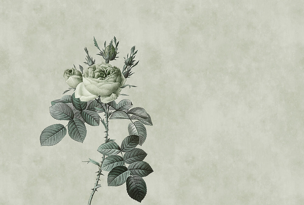 Walls By Patel - Rose digital print AS Creation Green   110746