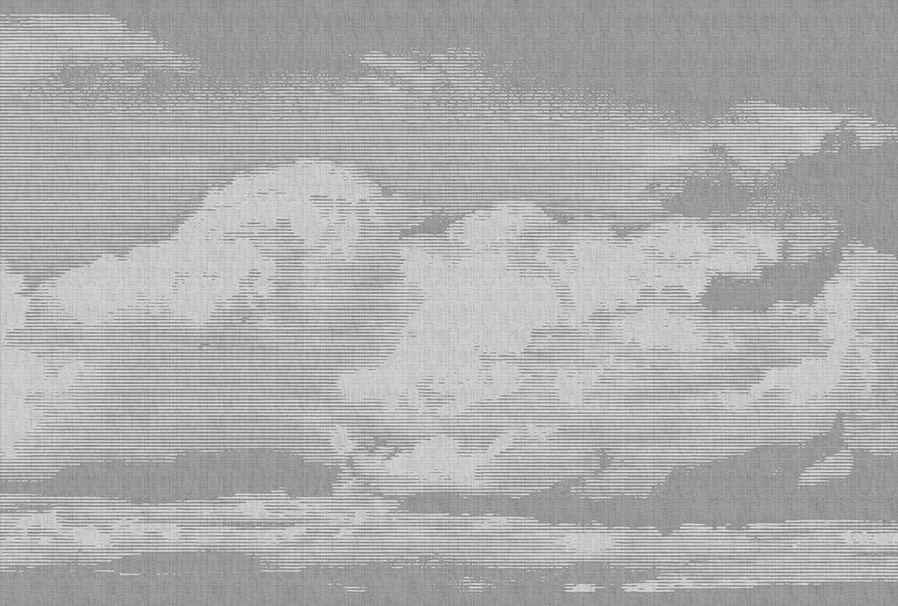 Walls by Patel 2 - Clouds digital print AS Creation Grey   113777