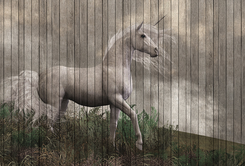 Walls by Patel 2 - Fantasy digital print AS Creation Fantasy 3   113957