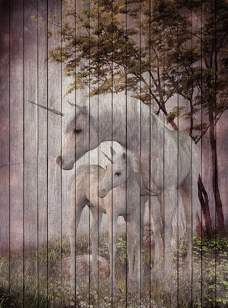 Walls by Patel 2 - Fantasy digital print AS Creation Fantasy 4   113962