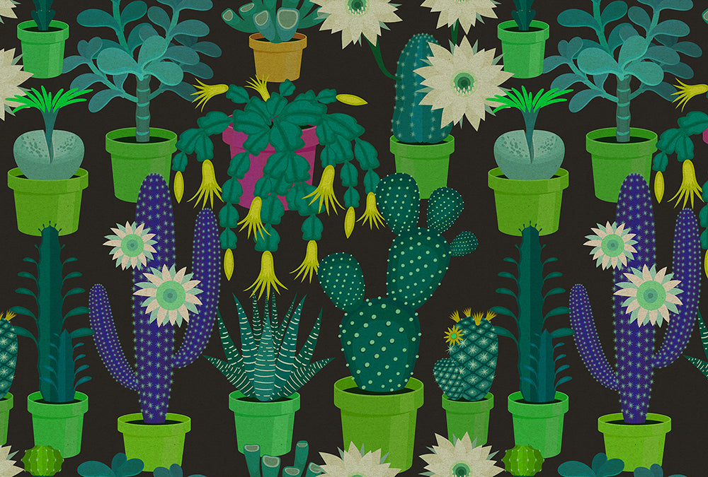 Walls by Patel 2 - Cactus Garden digital print AS Creation Green   114147