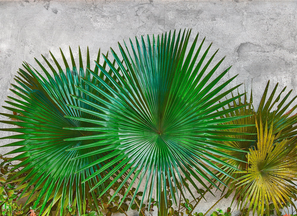 Design Walls - Agave Leaves digital print AS Creation    