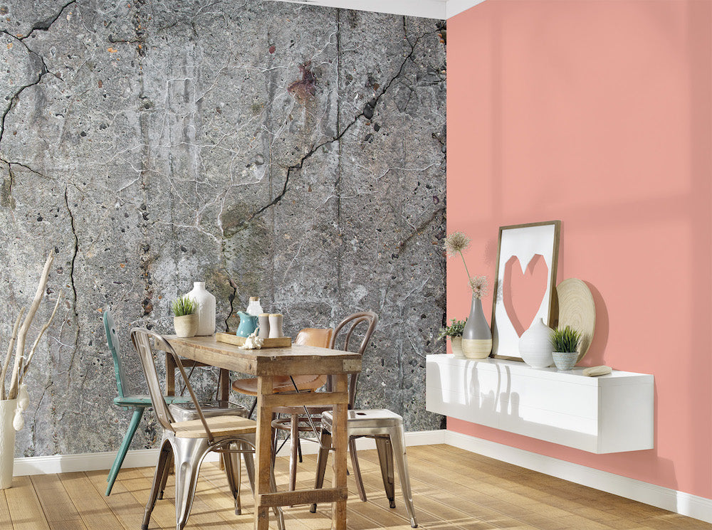 Design Walls - Old Concrete digital print AS Creation    