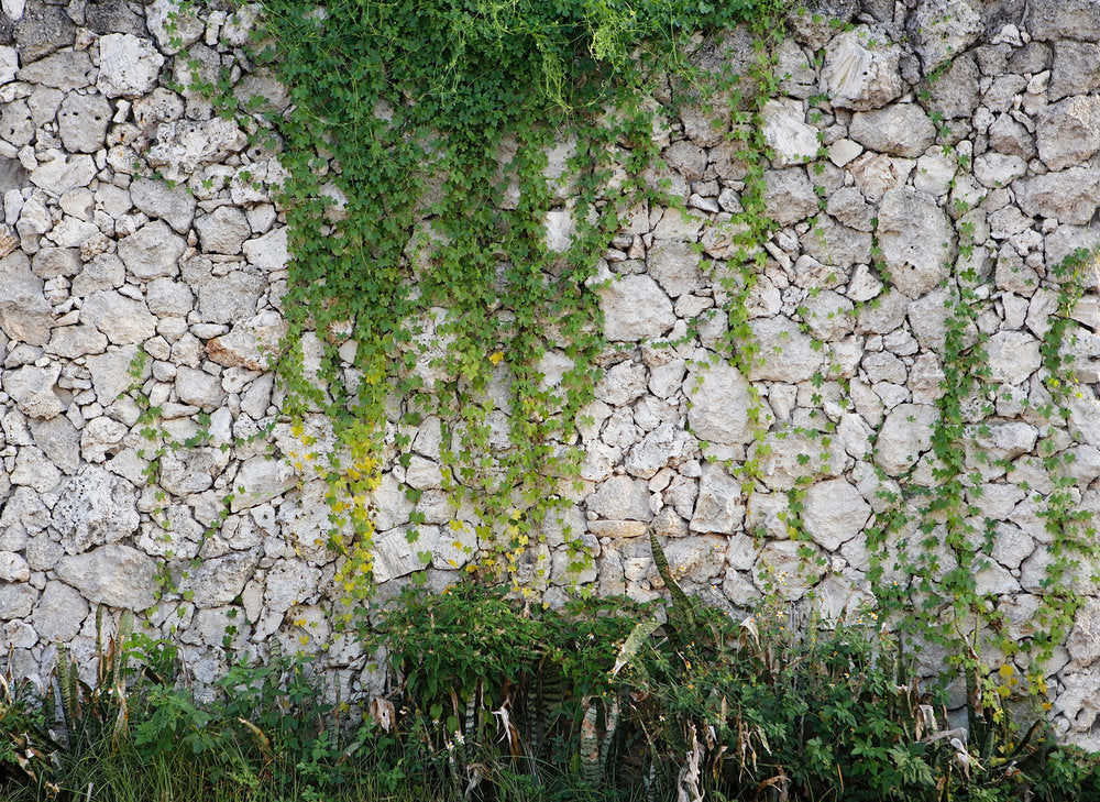Design Walls - Stonewall digital print AS Creation    