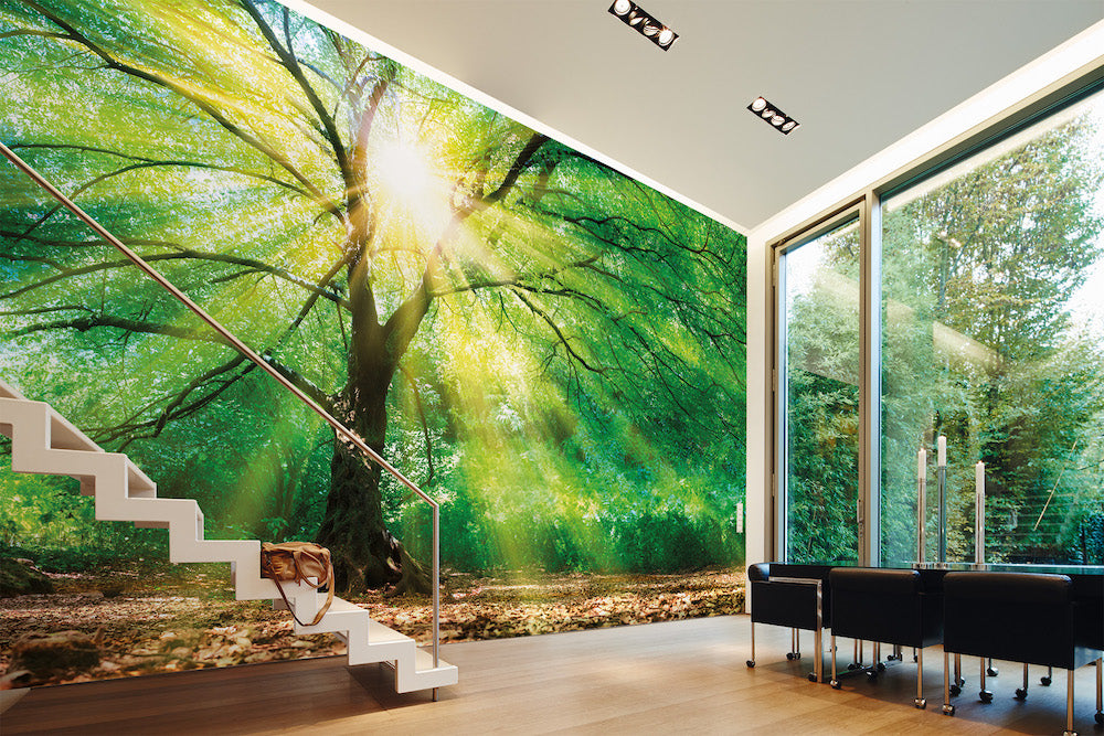 Design Walls - Forest Light digital print AS Creation    