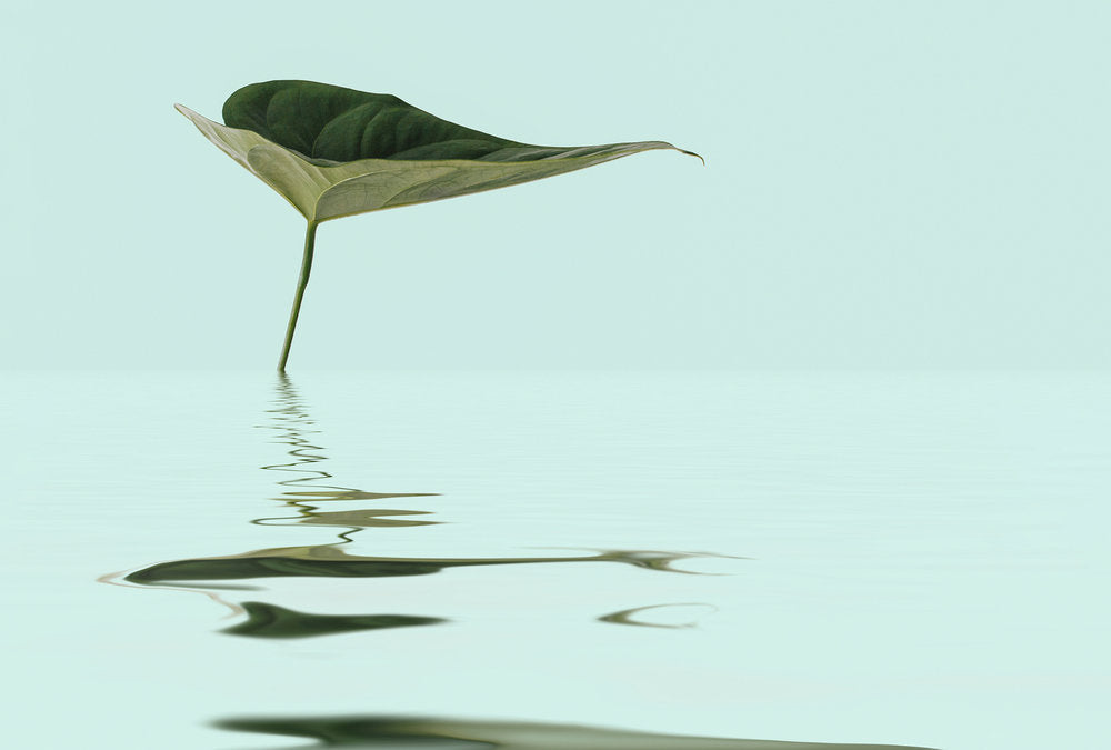 ARTist - Zen Water Leaf digital print AS Creation Green   119789