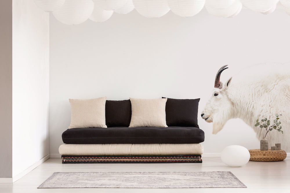 ARTist - Mountain Goat digital print AS Creation    
