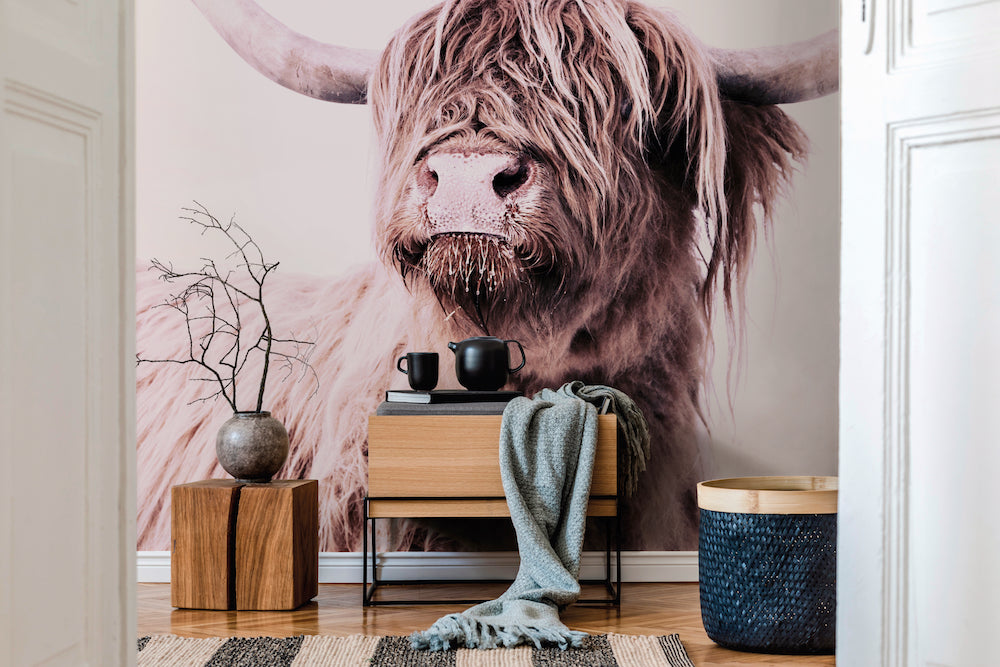 ARTist - Highland Cattle 1 digital print AS Creation    