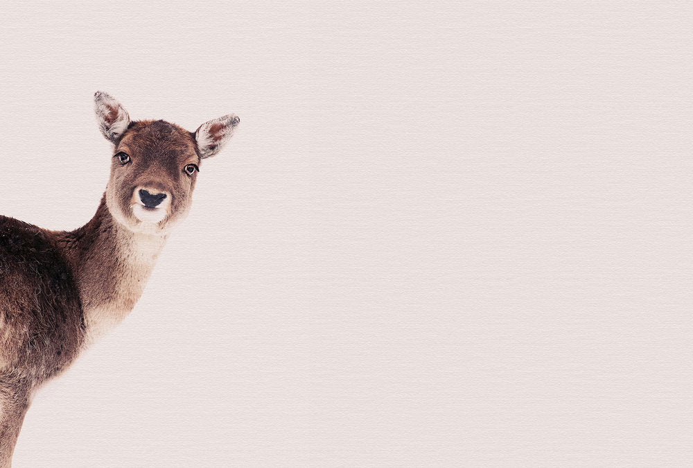 ARTist - Deer Rose digital print AS Creation Pink   119837