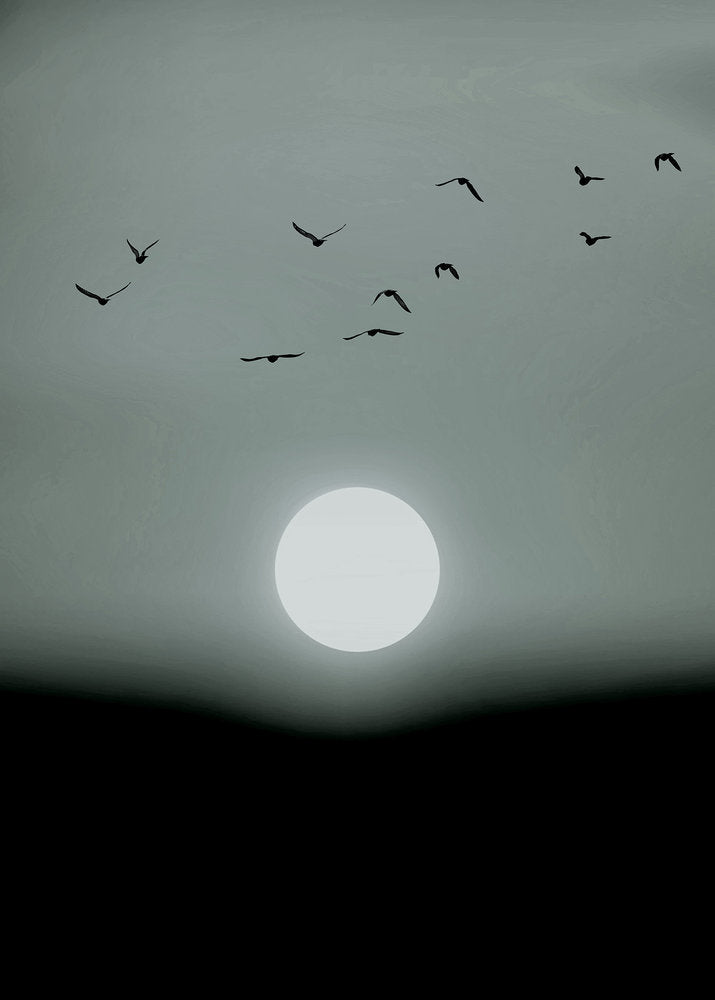 ARTist - Winter Lights digital print AS Creation Black   119929