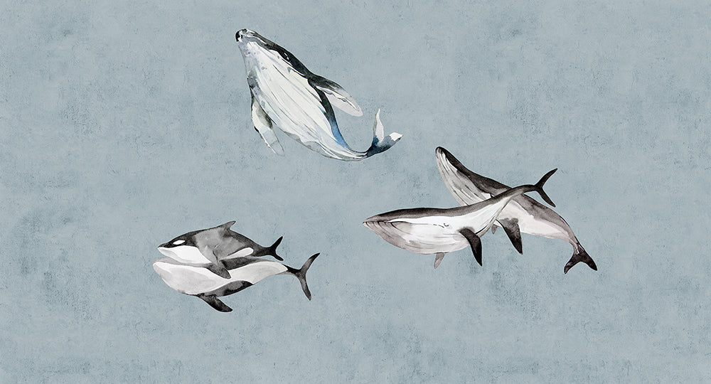 Walls by Patel 3 - Oceans Five Whales digital print AS Creation Blue   DD122012