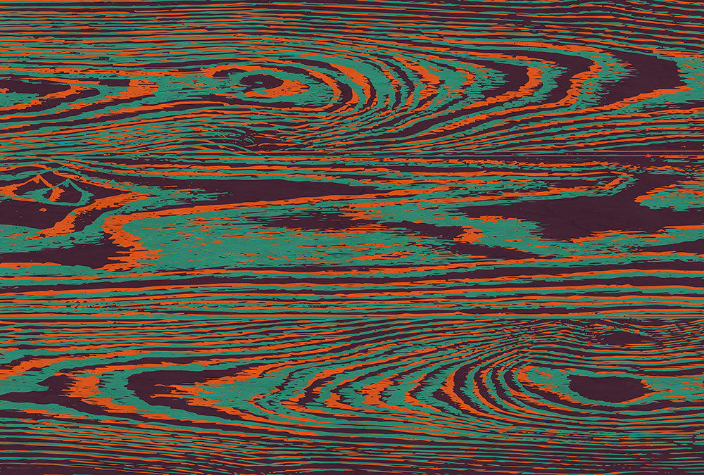 Walls by Patel 3 - Kontiki digital print AS Creation Green   DD122576