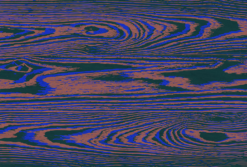 Walls by Patel 3 - Kontiki digital print AS Creation Purple   DD122584