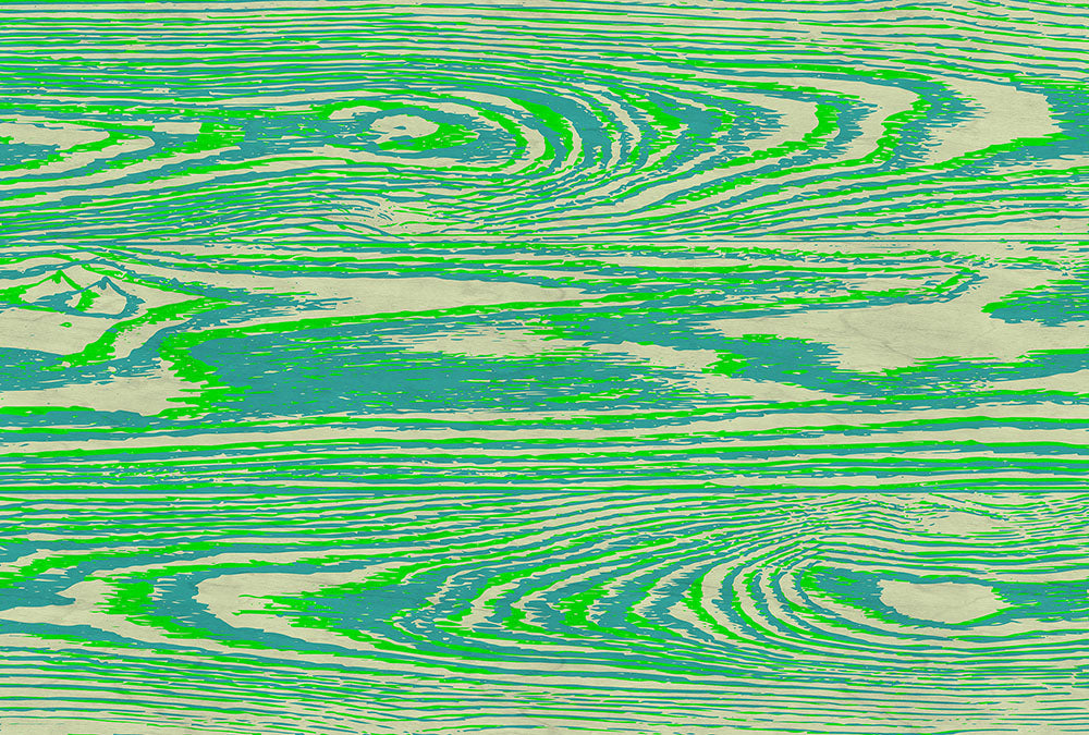 Walls by Patel 3 - Bounty digital print AS Creation Green   DD122588