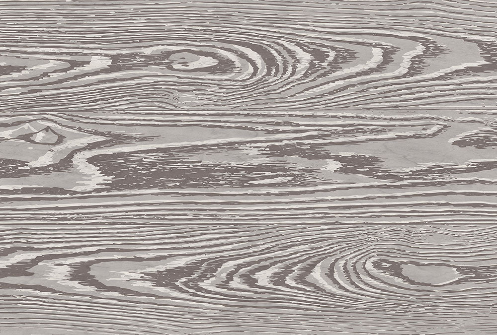 Walls by Patel 3 - Bounty digital print AS Creation Grey   DD122600