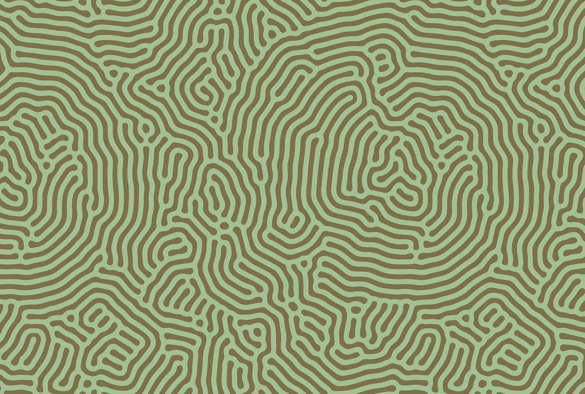 Walls by Patel 3 - Sahel Maze Green digital print AS Creation Green   DD122844