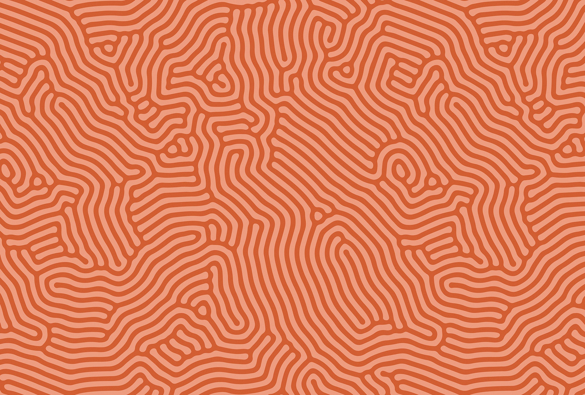Walls by Patel 3 - Sahel Maze Red digital print AS Creation Red   DD122852