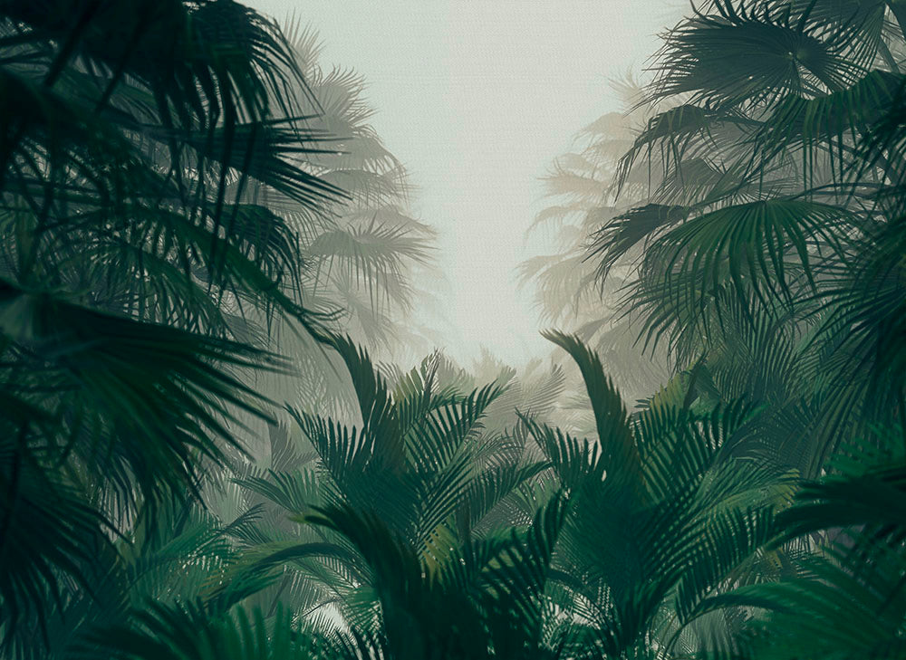 Designwalls 2 - Palm Forest digital print AS Creation Green   DD123487