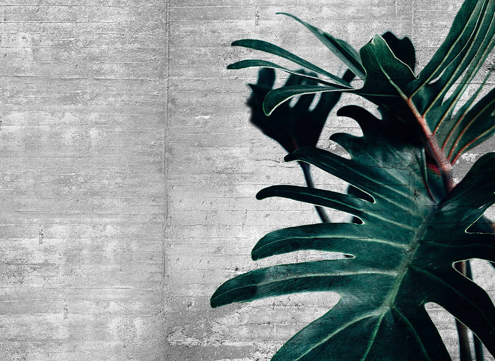 Designwalls 2 - Concrete Palm digital print AS Creation Green   DD123517