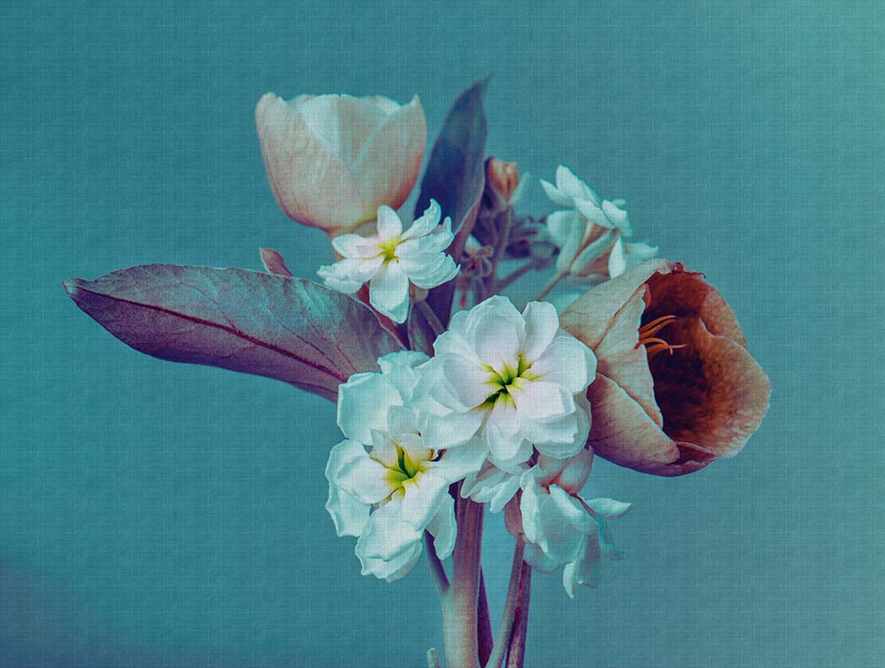 The Wall - Flower Posy smart walls AS Creation    