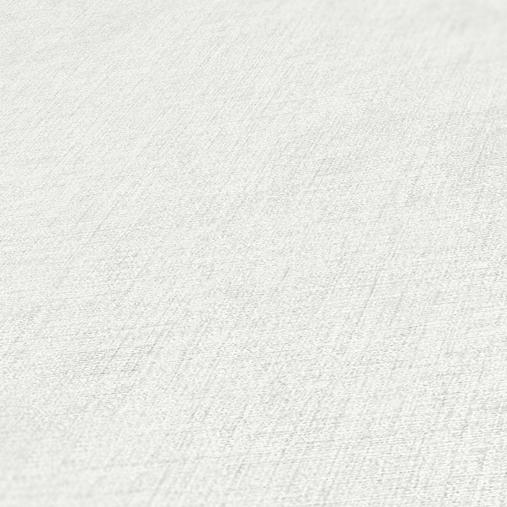 New Walls - Perfect Plains plain wallpaper AS Creation    