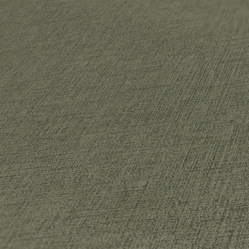 New Walls - Perfect Plains plain wallpaper AS Creation    